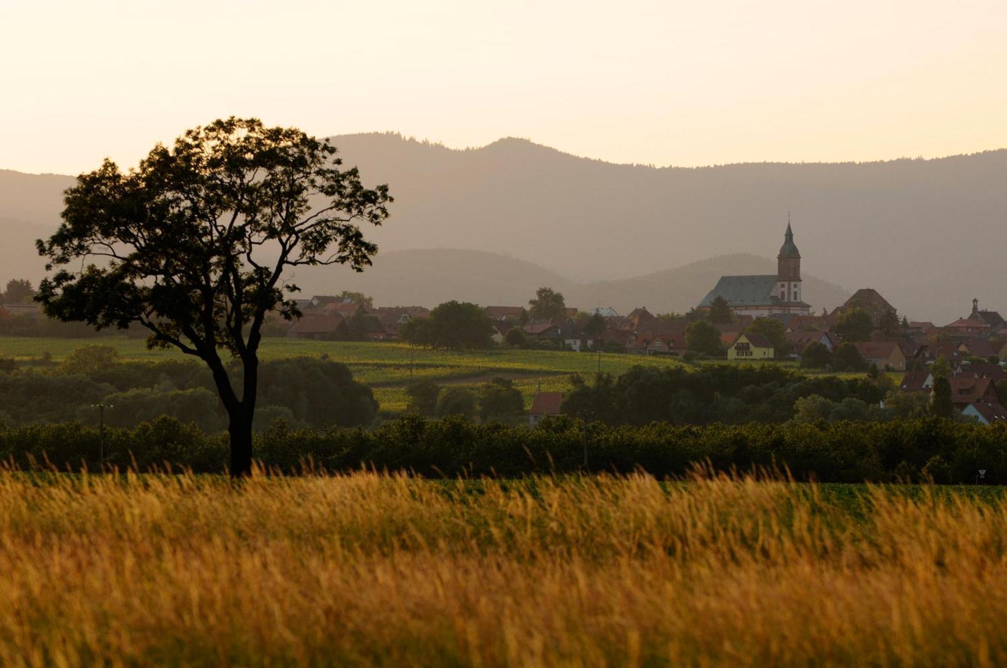 Gite Elouann Familial Spacieux Calme Ebersheim 외부 사진